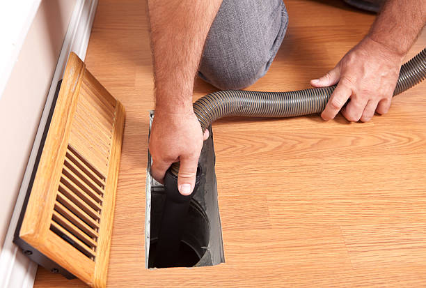 Best Air Duct Sanitizing Services  in Rio Rico, AZ